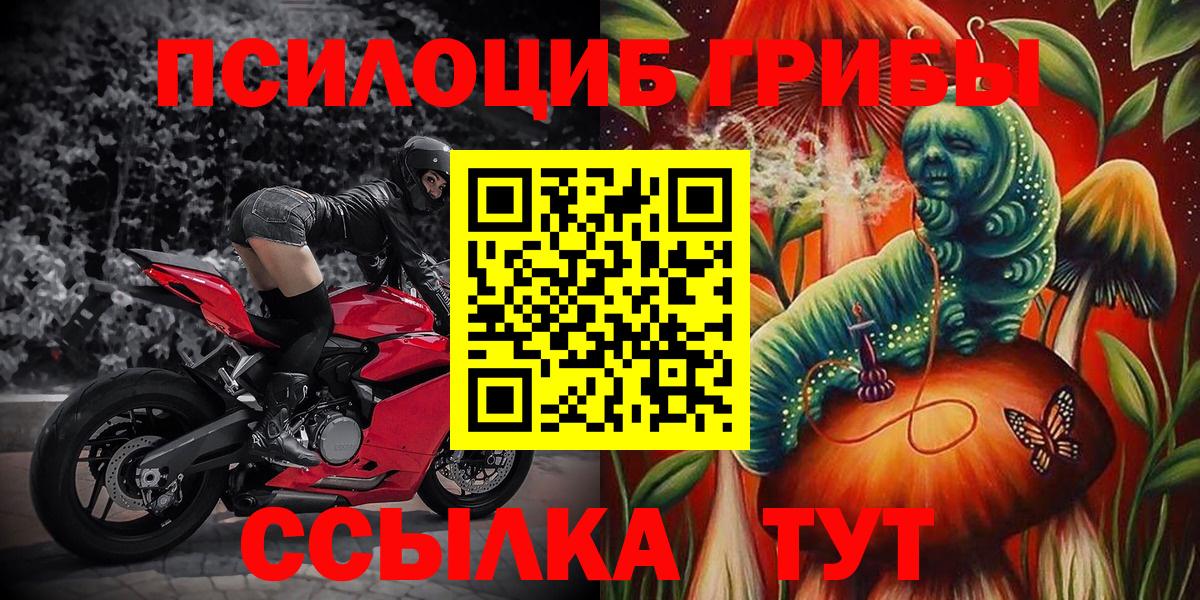 Галлюциногенные грибы Psilocybe  Псилоцибиновые грибы Cubensis  Вход с VPN  Медногорск 